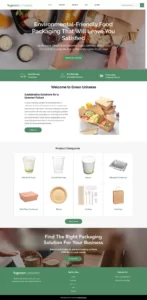 Ecommerce Website Design, Business Website Design